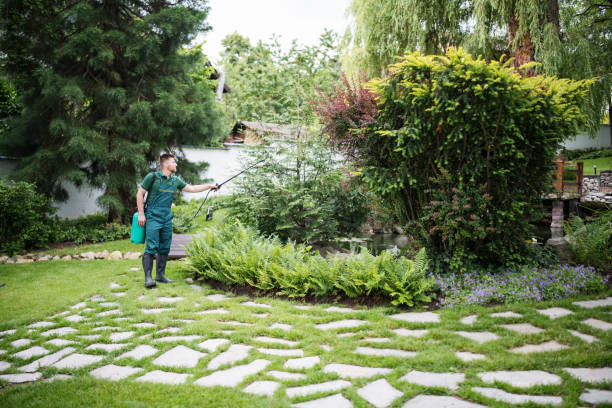Best Pest Prevention Services  in Dayton, KY