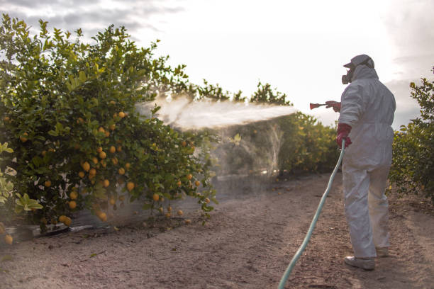 Professional Pest Control in Dayton, KY