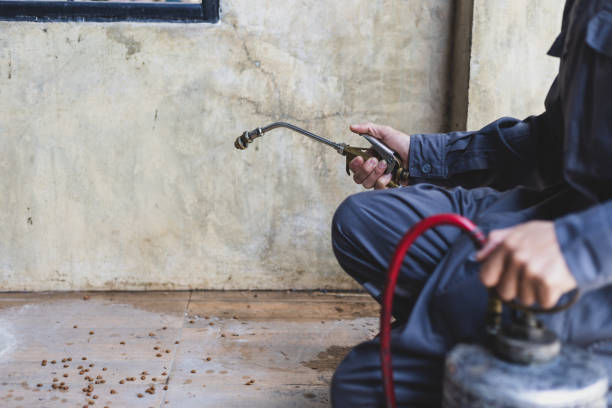 Best Best Pest Control Companies  in Dayton, KY
